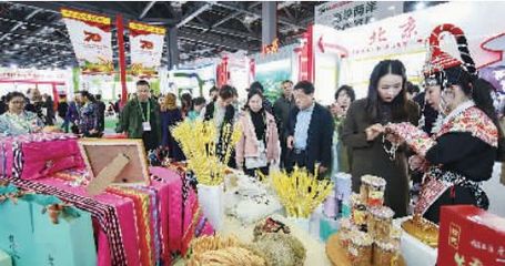 農業盛宴 第十七屆中國國際農產品交易會盛大開幕，五大亮點引領行業新風向