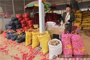 南寧市仁義農(nóng)副產(chǎn)品批發(fā)市場(chǎng)盛大開業(yè) 助力區(qū)域“菜籃子”工程建設(shè)